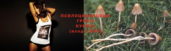 мескалин Горнозаводск