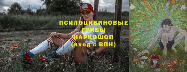 индика Магас