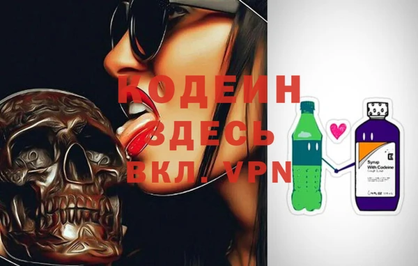 индика Магас