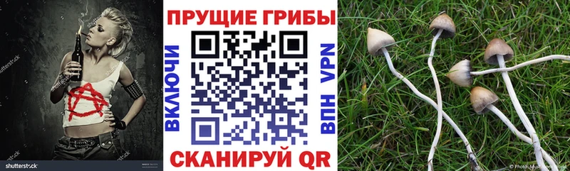 Псилоцибиновые грибы GOLDEN TEACHER  blacksprut зеркало  Гусь-Хрустальный 