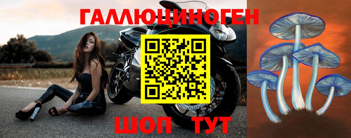 Гусь-Хрустальный  Галлюциногенные грибы ЛСД  где купить наркоту  Вход с VPN 